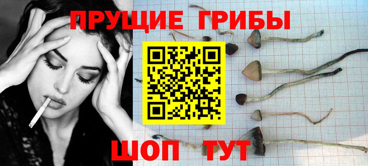 Галлюциногенные грибы мицелий  Вход с VPN  Сызрань  Галлюциногенные грибы GOLDEN TEACHER 