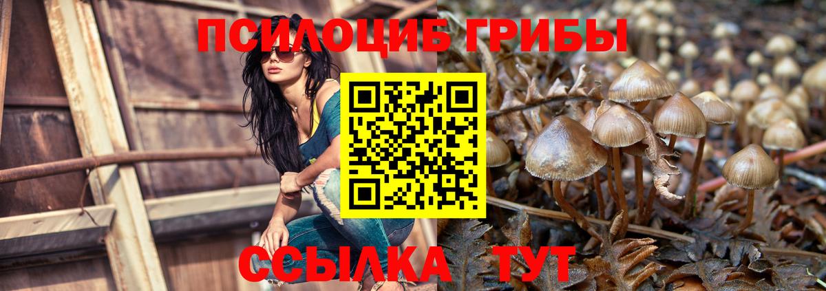 Галлюциногенные грибы Psilocybine cubensis Сызрань